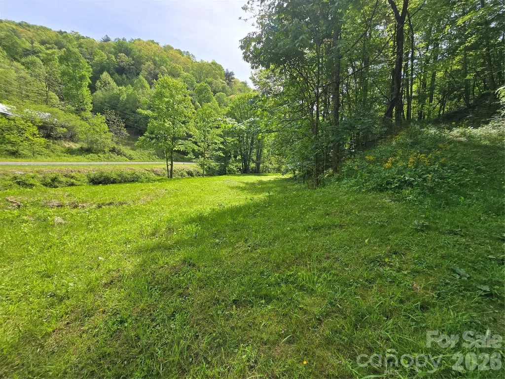 99999 Roaring Fork Road Mars Hill NC 28754