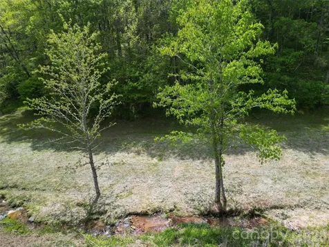 99999 Roaring Fork Road Mars Hill NC 28754
