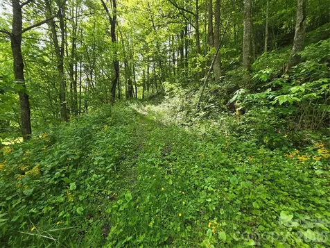 99999 Roaring Fork Road Mars Hill NC 28754
