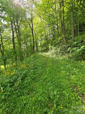 99999 Roaring Fork Road Mars Hill NC 28754