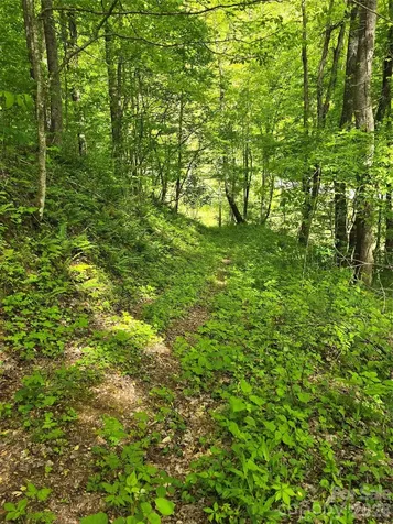 99999 Roaring Fork Road Mars Hill NC 28754