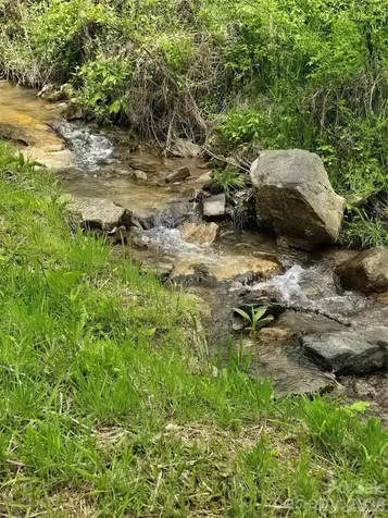 99999 Roaring Fork Road Mars Hill NC 28754
