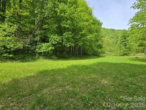 99999 Roaring Fork Road Mars Hill NC 28754