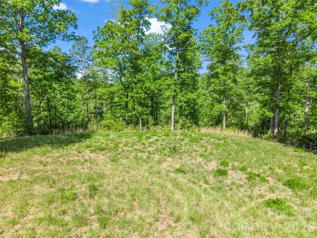 400 Calhoun Trail Rutherfordton NC 28139