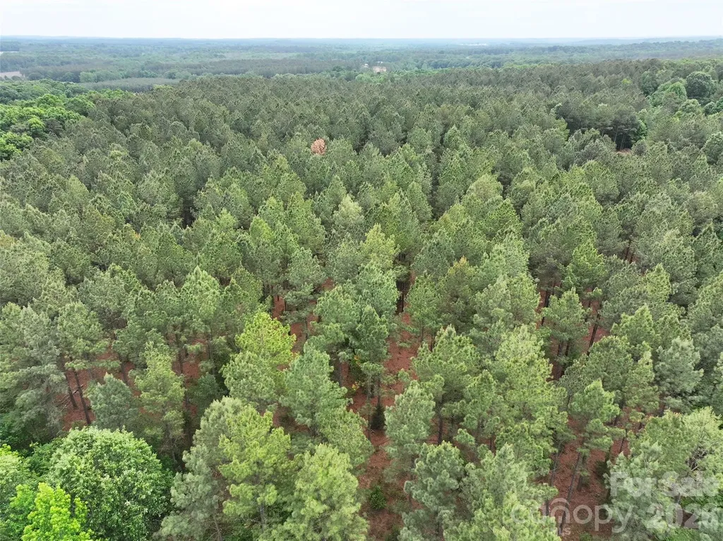 Tbd Hasty Road N Peachland NC 28133