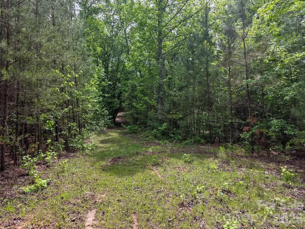 0 Romey Campbell Road Ellenboro NC 28040