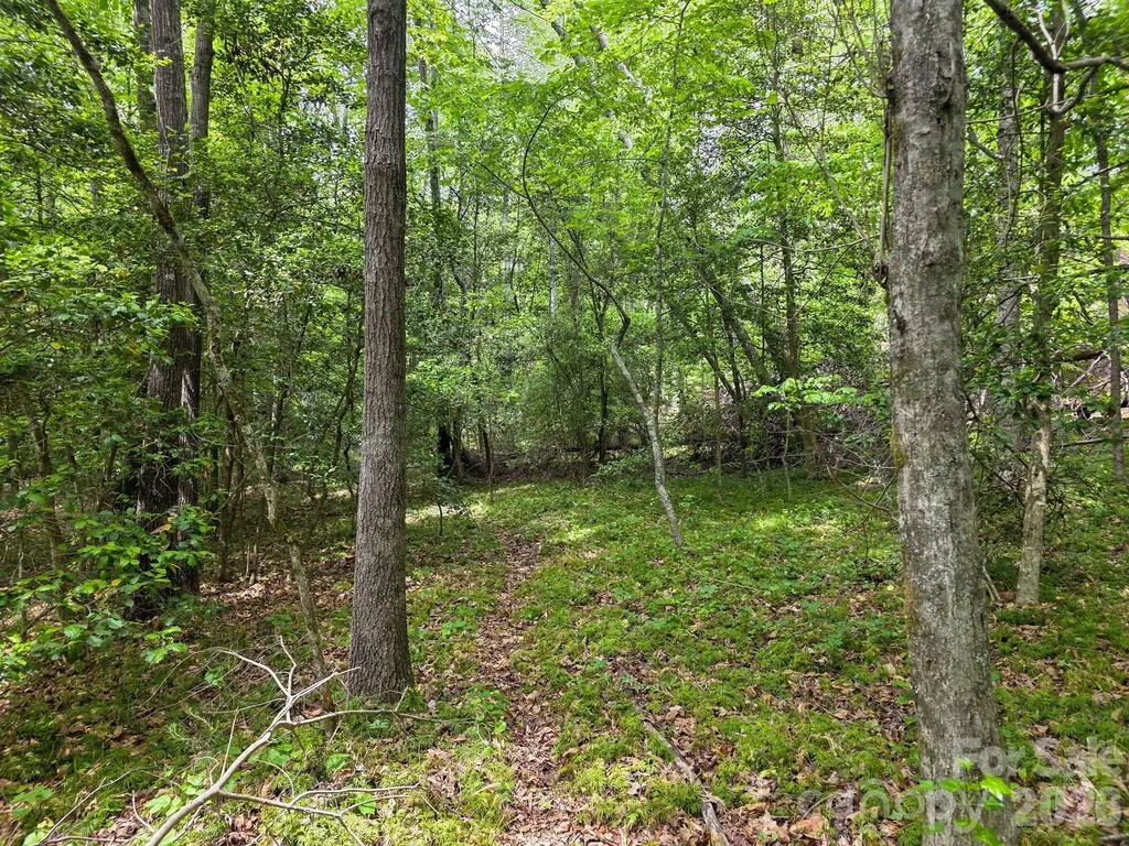 0 Romey Campbell Road Ellenboro NC 28040