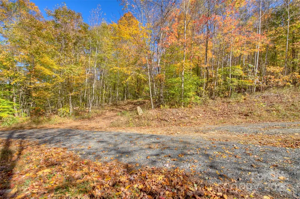 0 Pebble Ridge Road Spruce Pine NC 28777
