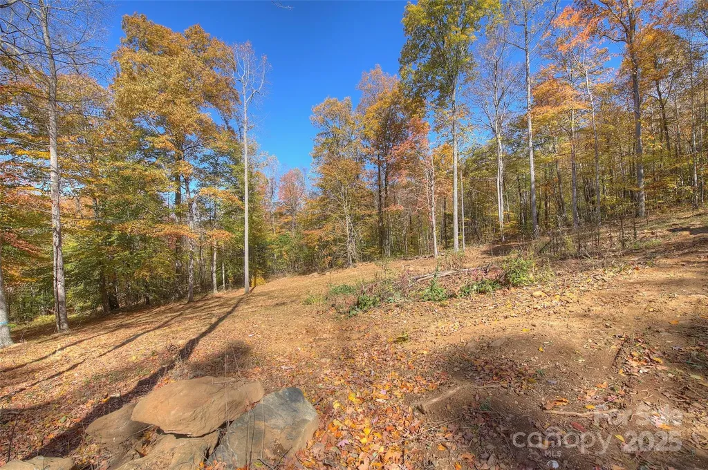 0 Pebble Ridge Road Spruce Pine NC 28777