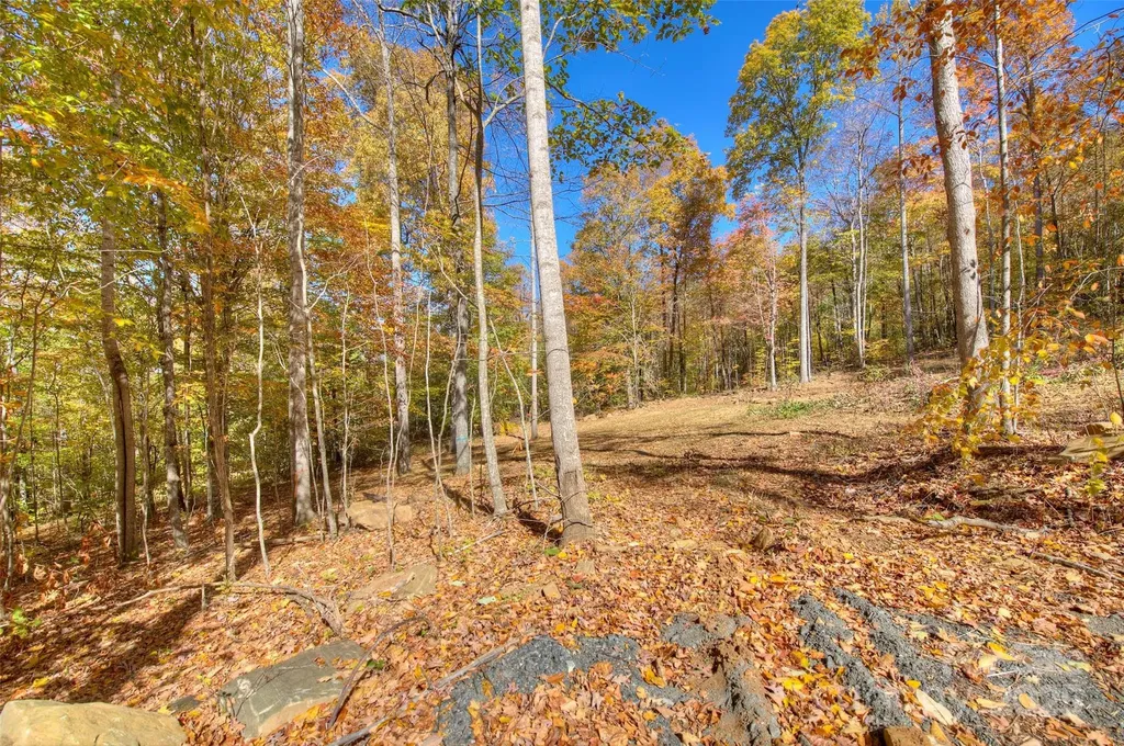 0 Pebble Ridge Road Spruce Pine NC 28777