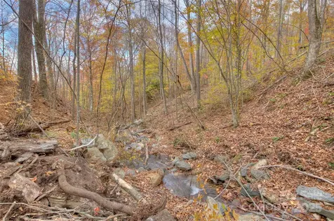 0 Pebble Ridge Road Spruce Pine NC 28777
