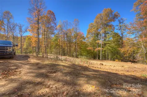 0 Pebble Ridge Road Spruce Pine NC 28777