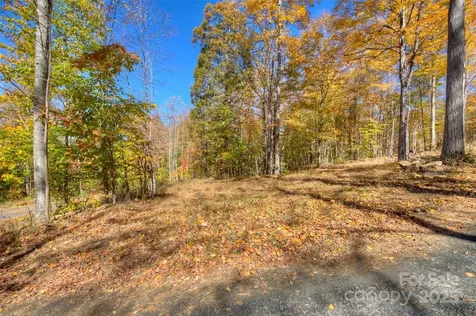 0 Pebble Ridge Road Spruce Pine NC 28777