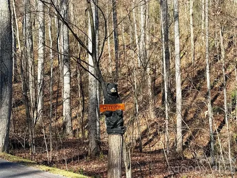 00 Mountain Watch Drive Maggie Valley NC 28785