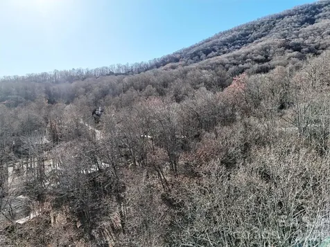 00 Mountain Watch Drive Maggie Valley NC 28785