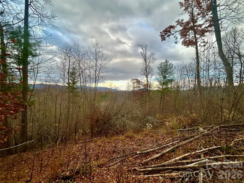 00000 High Peak Ridge Green Mountain NC 28740
