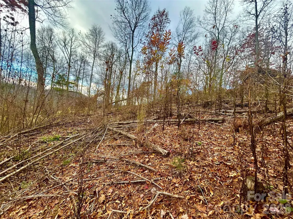 00000 High Peak Ridge Green Mountain NC 28740
