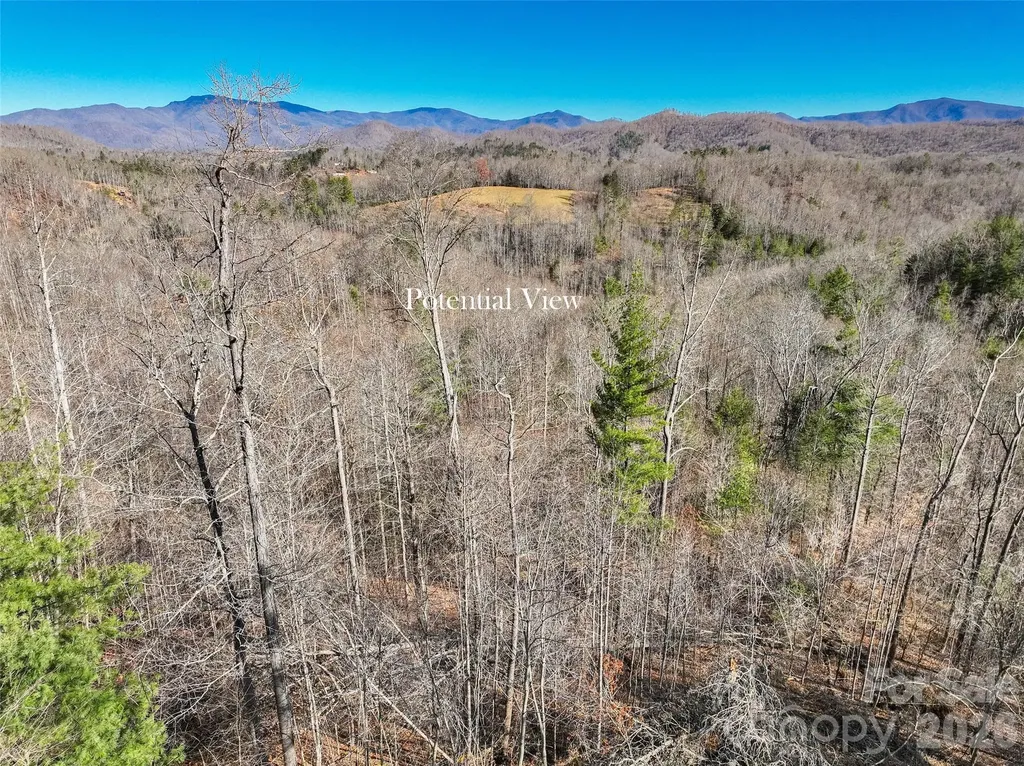 00000 High Peak Ridge Green Mountain NC 28740