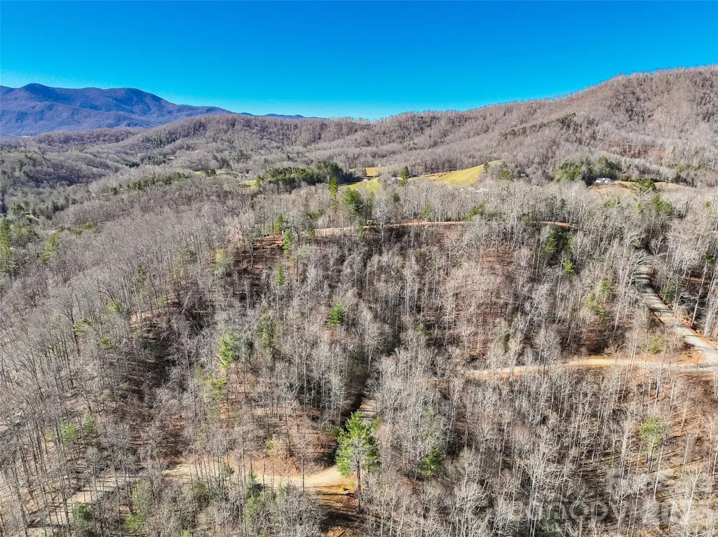 00000 High Peak Ridge Green Mountain NC 28740