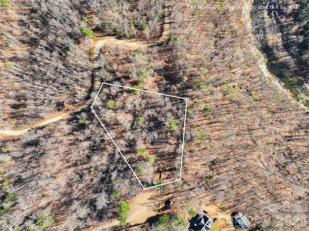 00000 High Peak Ridge Green Mountain NC 28740