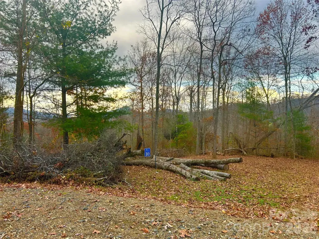 00000 High Peak Ridge Green Mountain NC 28740