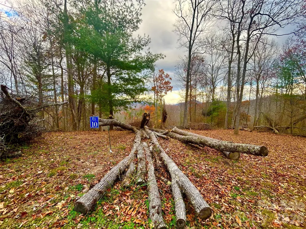 00000 High Peak Ridge Green Mountain NC 28740