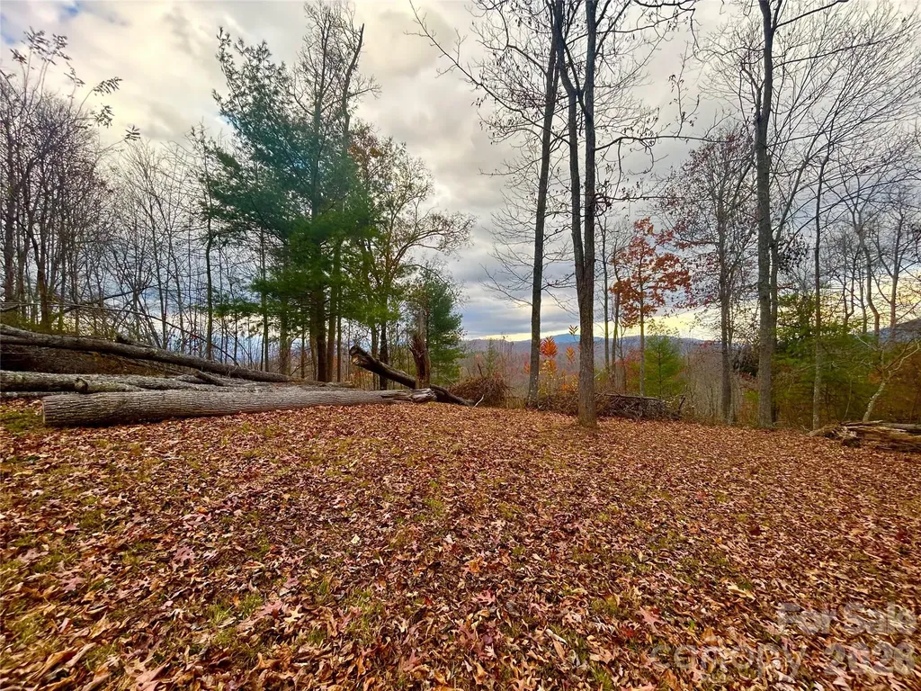 00000 High Peak Ridge Green Mountain NC 28740
