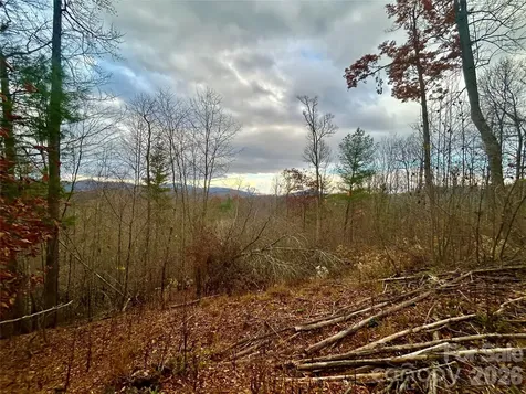 00000 High Peak Ridge Green Mountain NC 28740