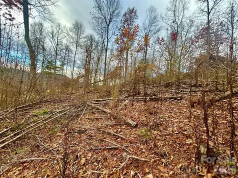 00000 High Peak Ridge Green Mountain NC 28740