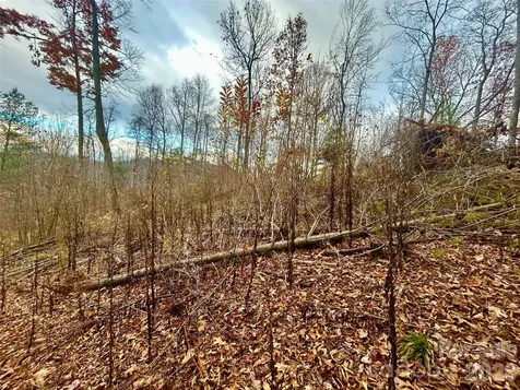 00000 High Peak Ridge Green Mountain NC 28740