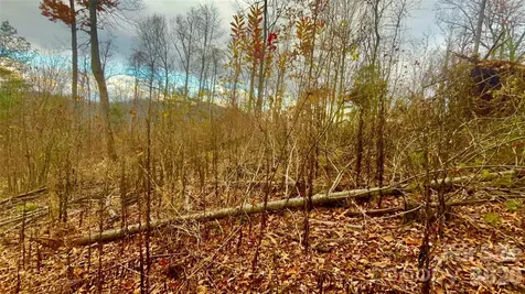 00000 High Peak Ridge Green Mountain NC 28740