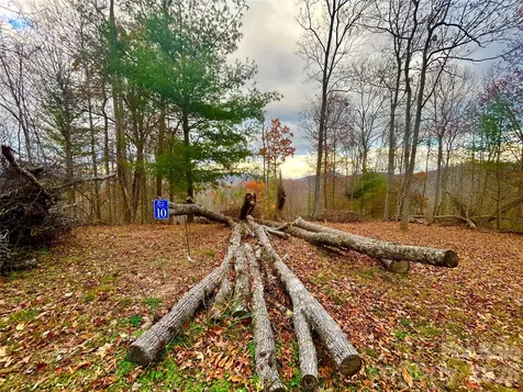 00000 High Peak Ridge Green Mountain NC 28740