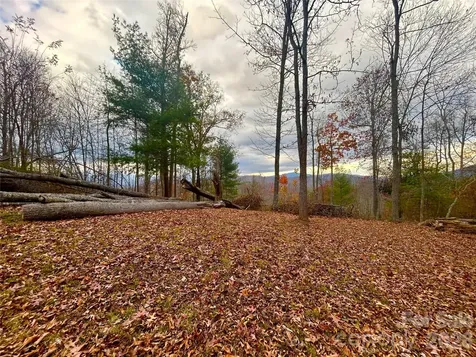 00000 High Peak Ridge Green Mountain NC 28740