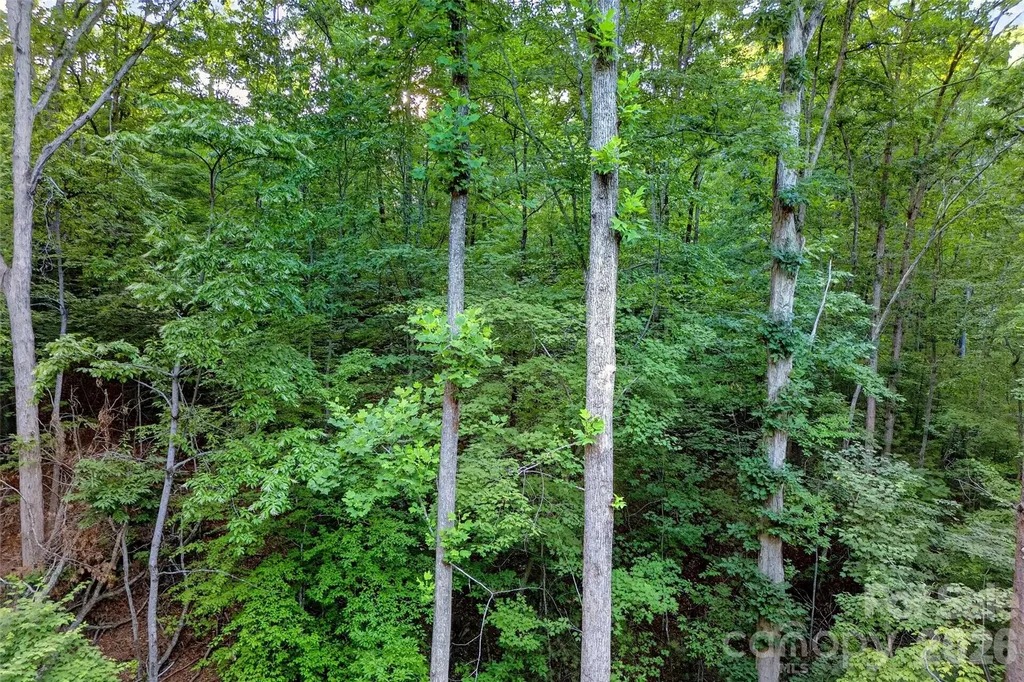 00 Yancey Road Marion NC 28752