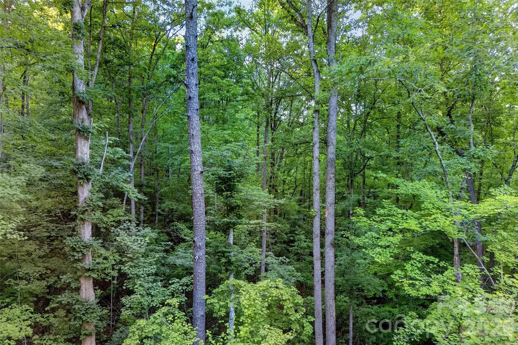 00 Yancey Road Marion NC 28752