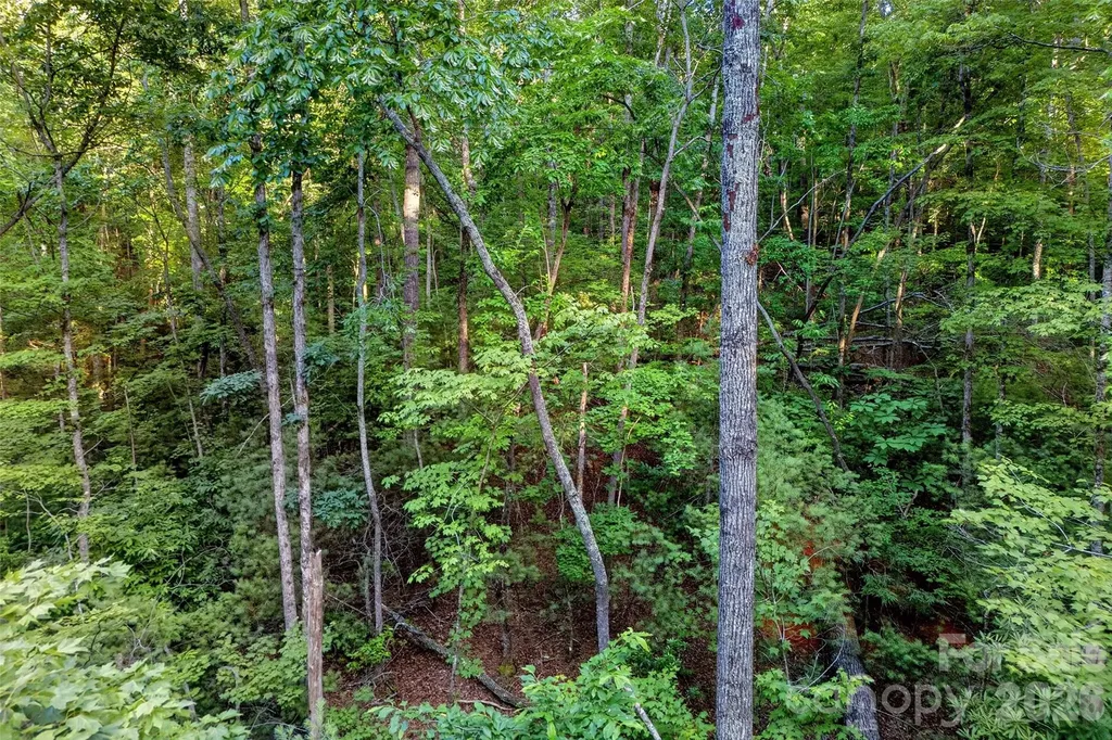 00 Yancey Road Marion NC 28752