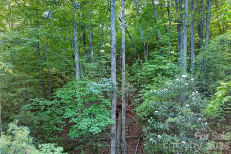 00 Yancey Road Marion NC 28752