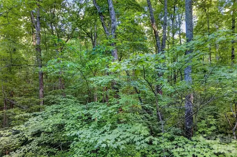 00 Yancey Road Marion NC 28752