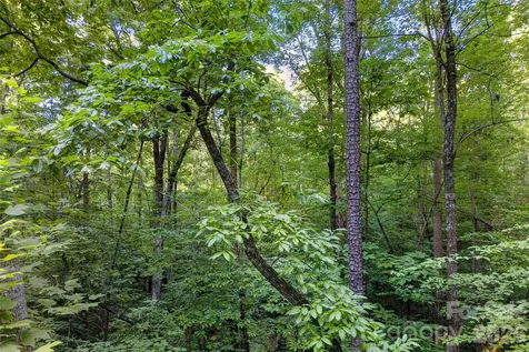 00 Yancey Road Marion NC 28752