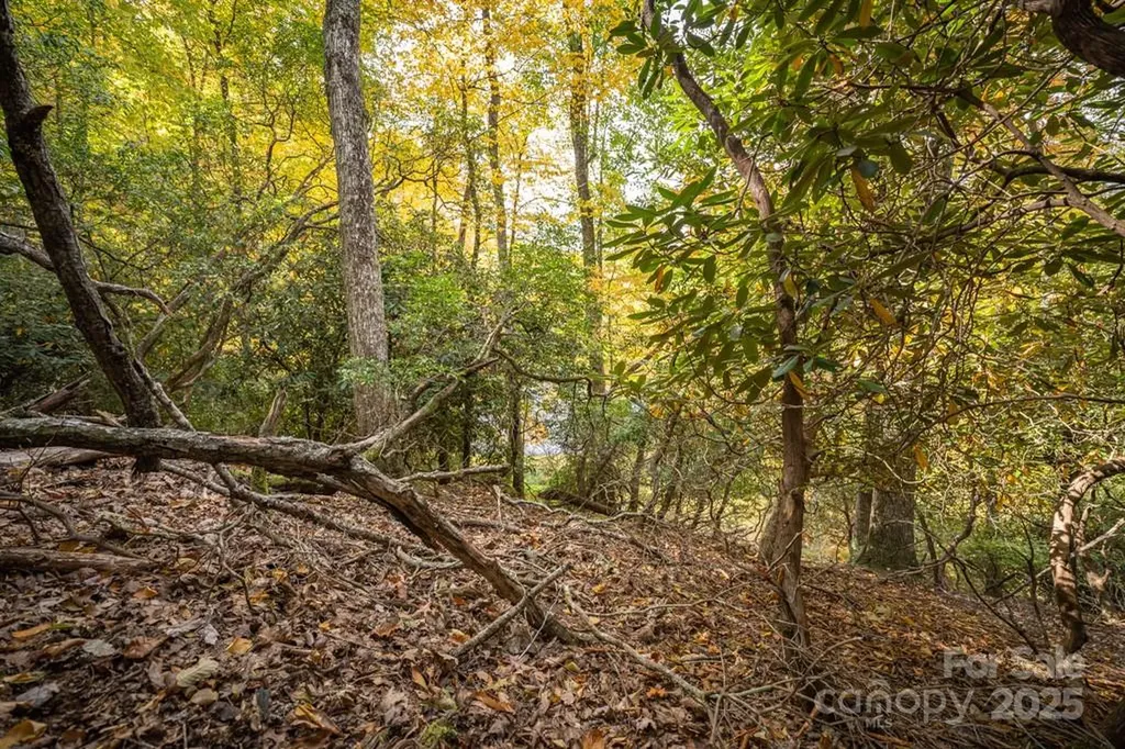99999 Shining Rock Path Horse Shoe NC 28742