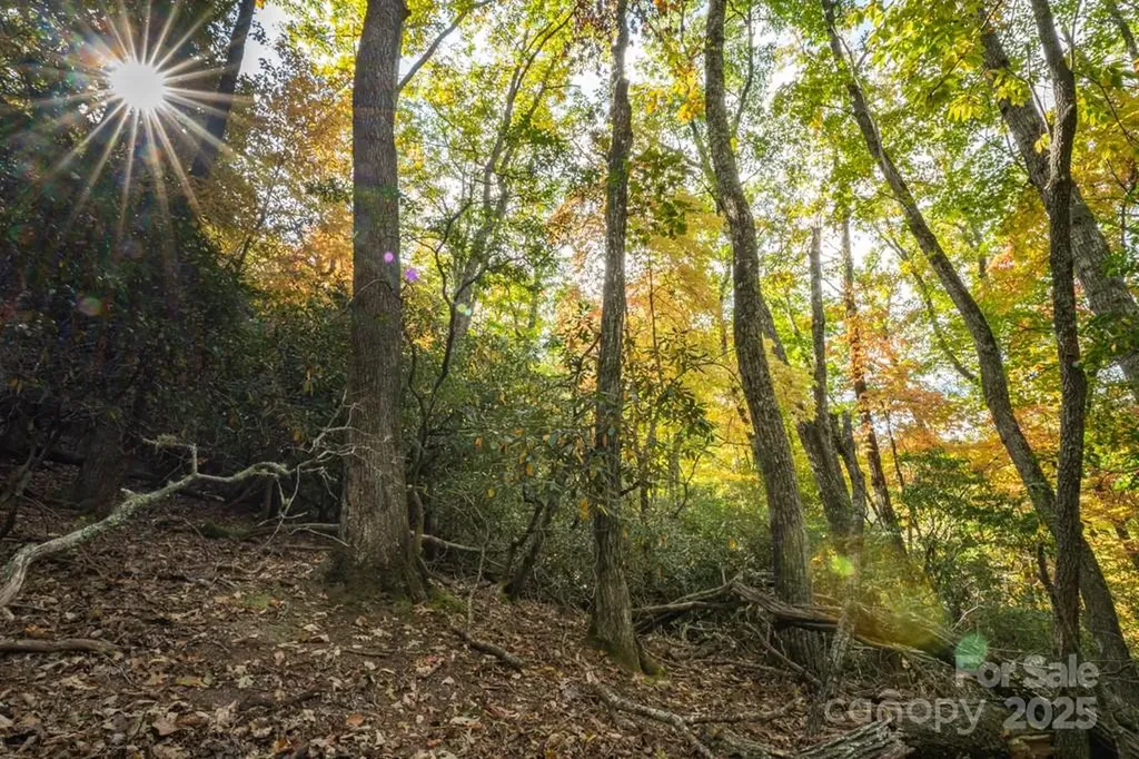 99999 Shining Rock Path Horse Shoe NC 28742