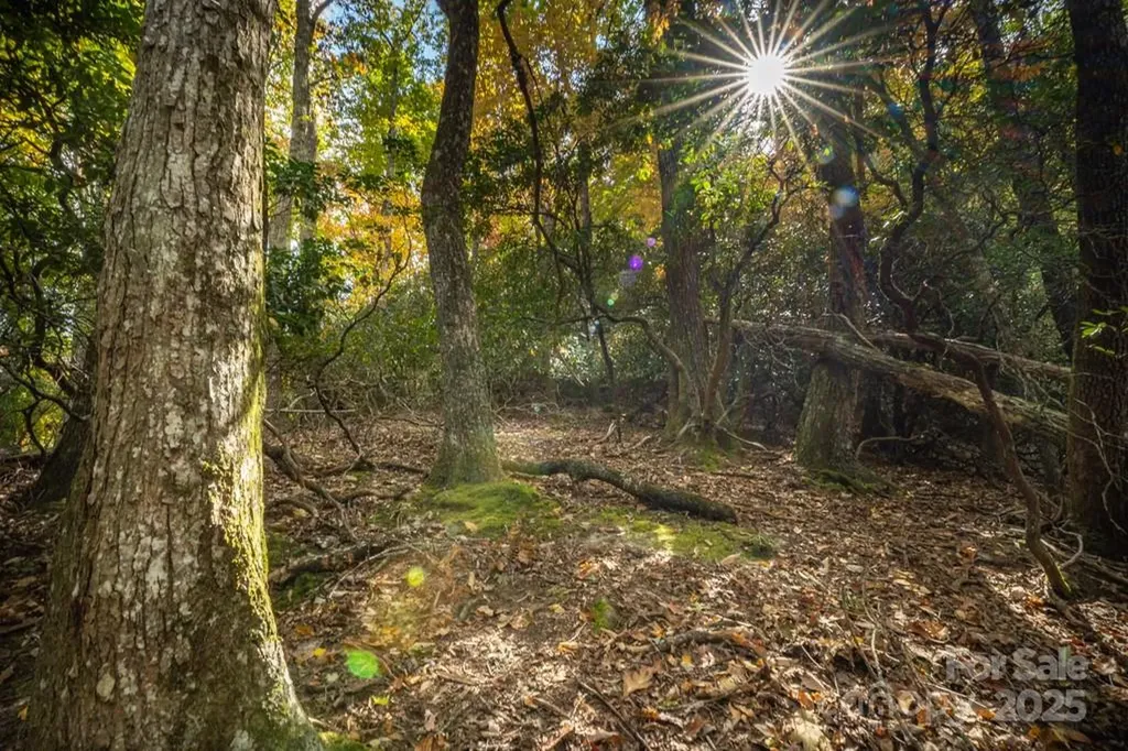 99999 Shining Rock Path Horse Shoe NC 28742