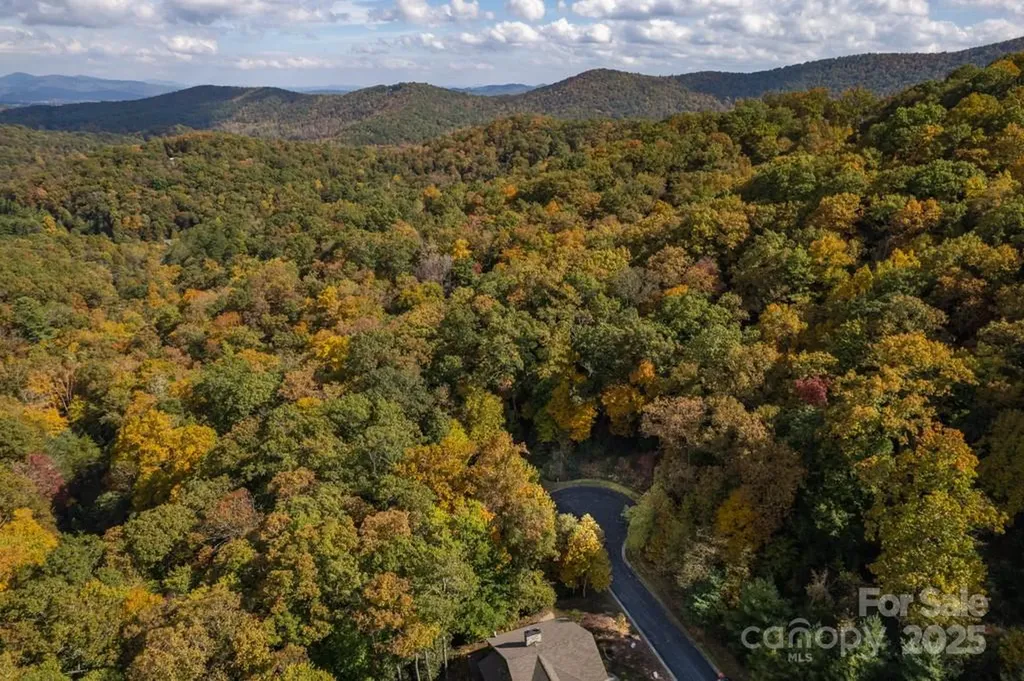99999 Shining Rock Path Horse Shoe NC 28742