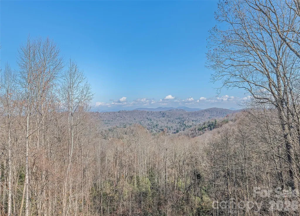 1350 Davis Mountain Road Hendersonville NC 28739