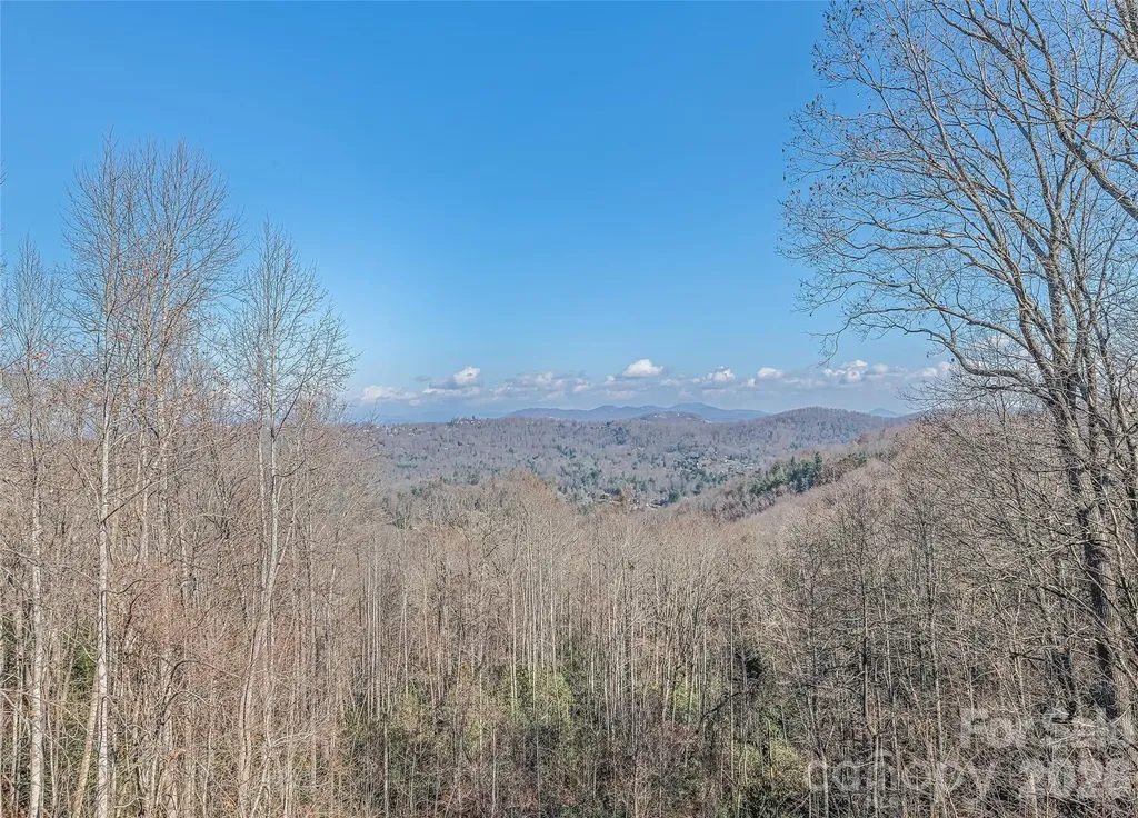 1350 Davis Mountain Road Hendersonville NC 28739