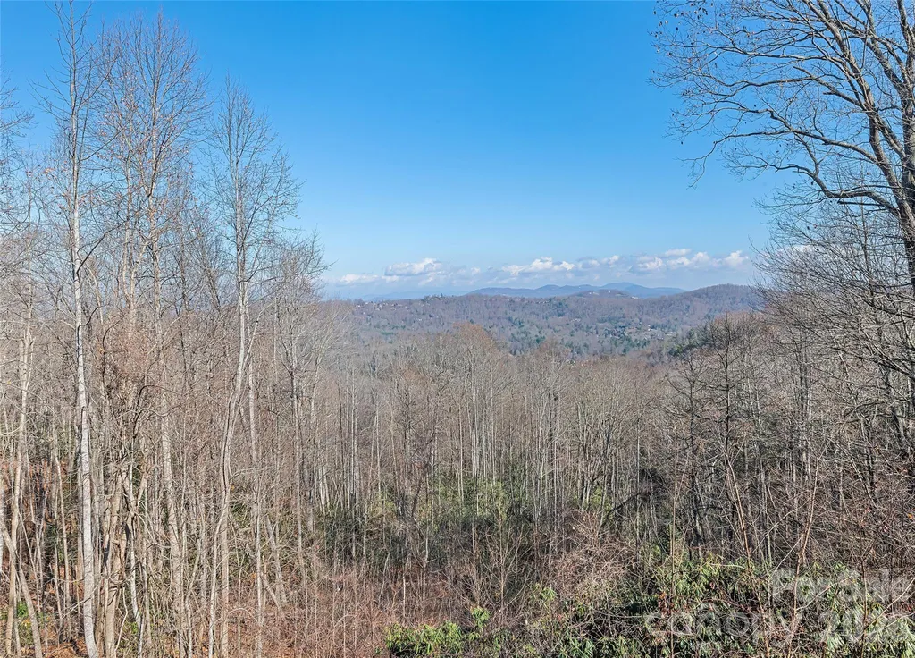 1350 Davis Mountain Road Hendersonville NC 28739