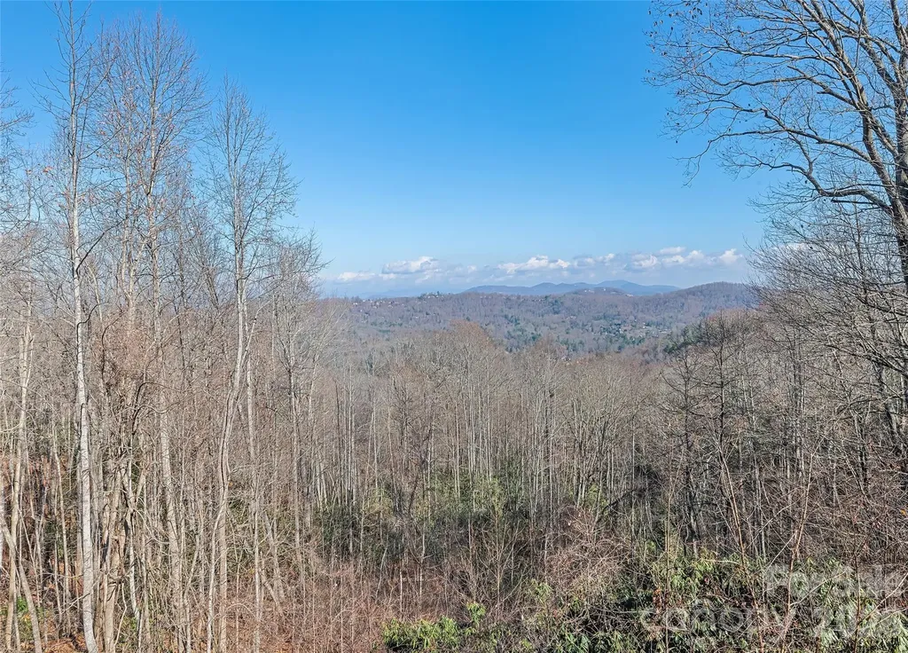 1350 Davis Mountain Road Hendersonville NC 28739