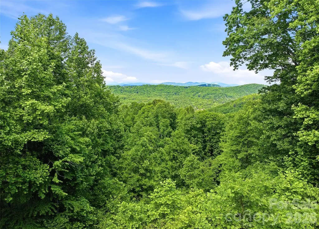 1350 Davis Mountain Road Hendersonville NC 28739