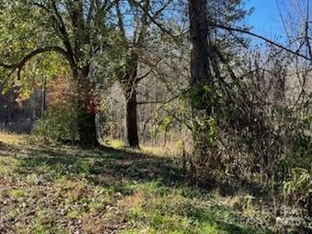 418 Owl Hollow Road Marion NC 28752