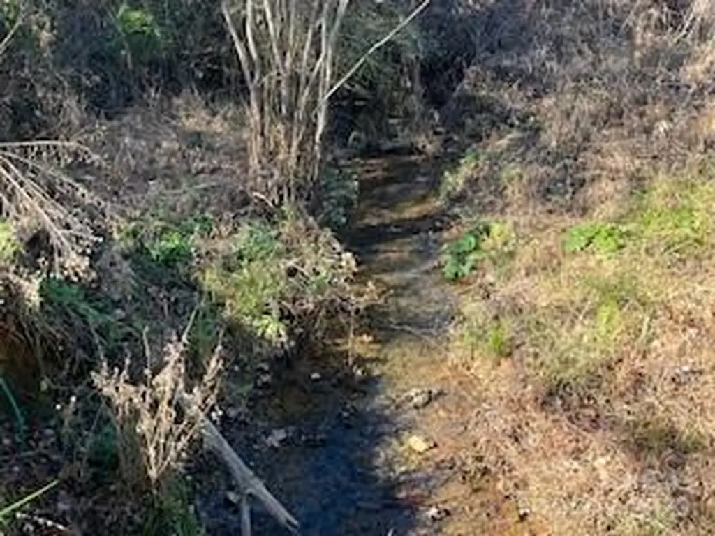 418 Owl Hollow Road Marion NC 28752